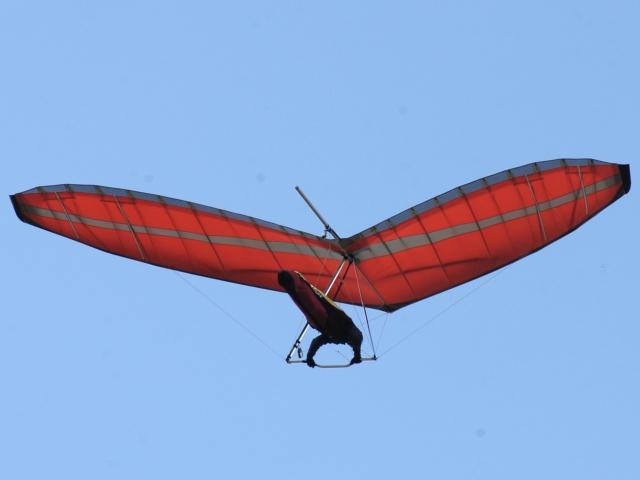 Avian Glider  Deposit, Non-Refundable
